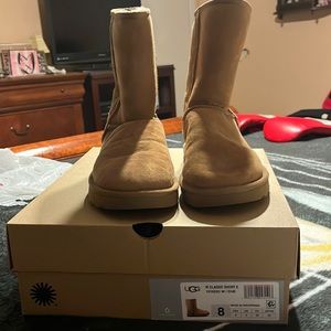 chestnut classic short uggs